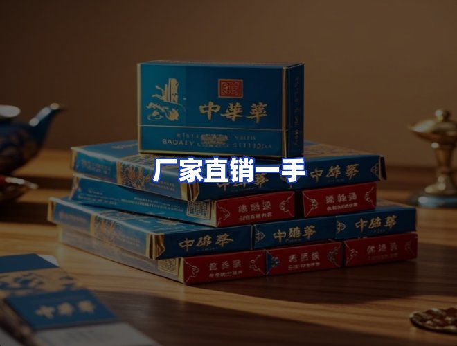 专业团队